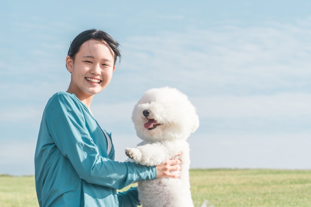 愛犬の遺品整理をする写真