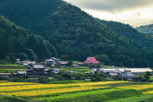 空き家が多く点在する地方の写真