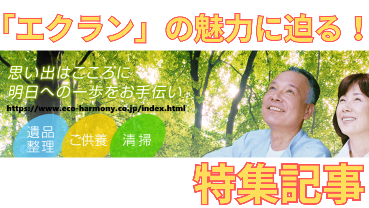「エクラン」の特集記事に用いた同社のHP画像